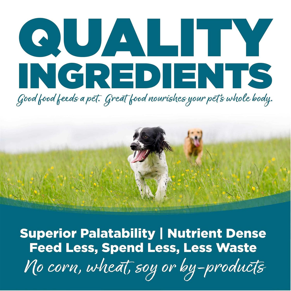 NutriSource Adult Chicken Rice Dry Dog Food E323