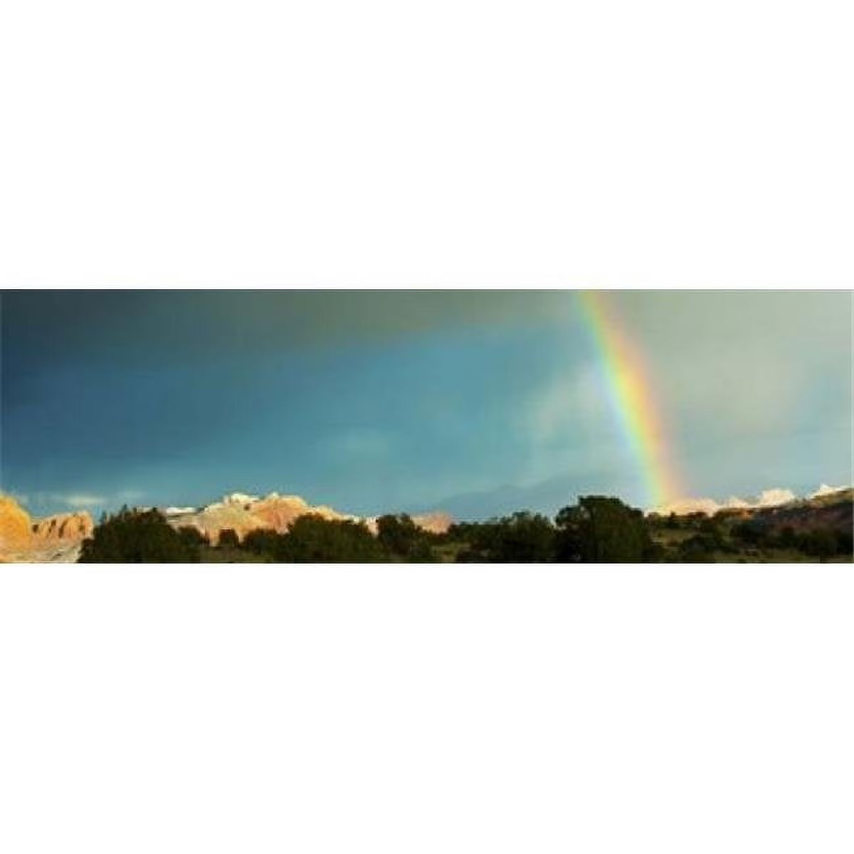 36 x 12 Poster Print M303515