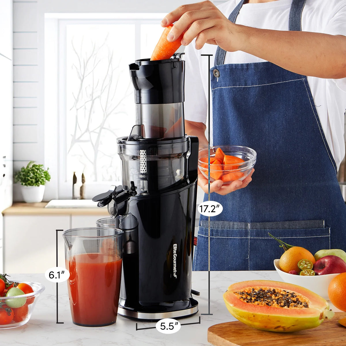 Black Mastication Slow Juicer 27oz E9602