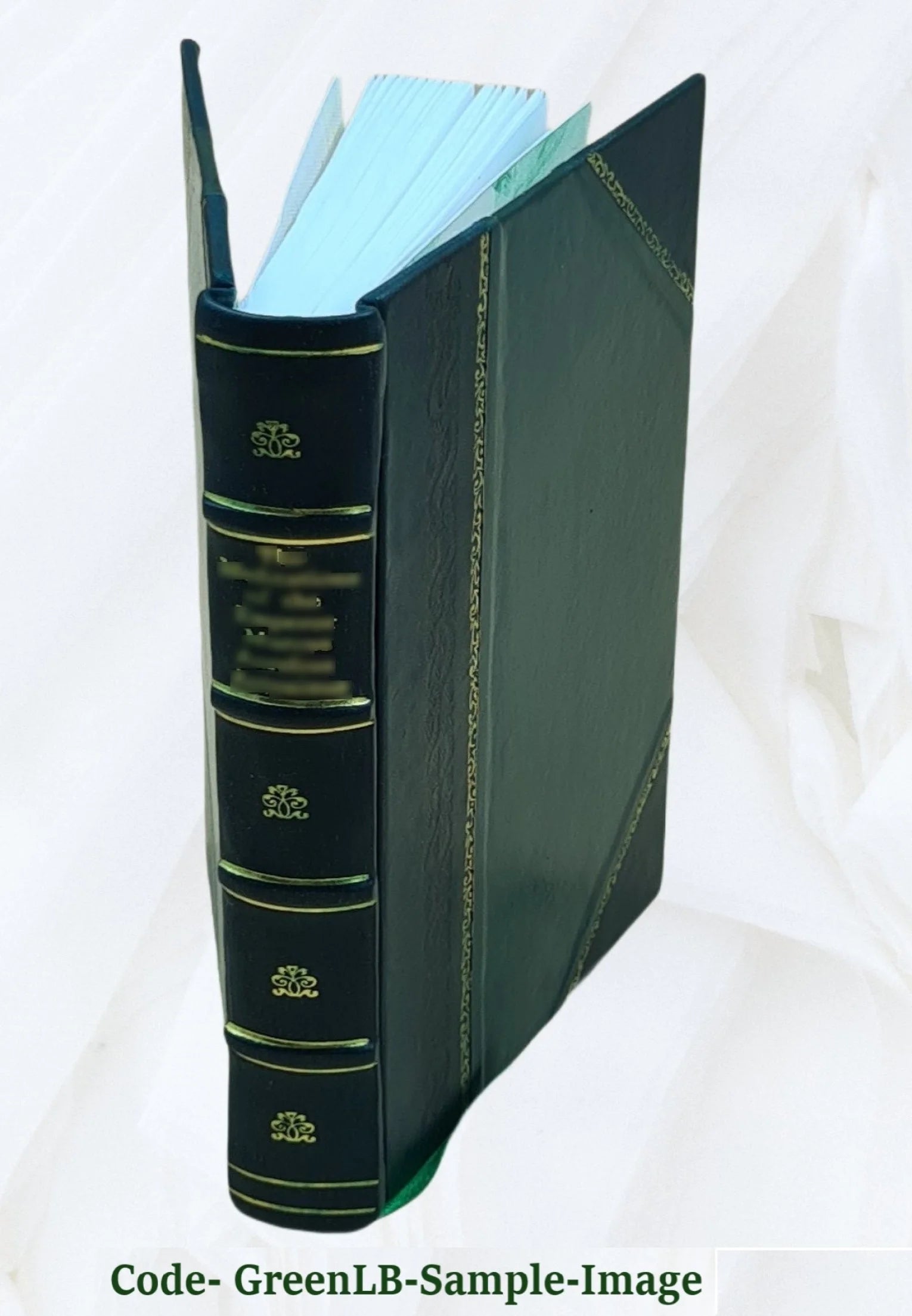 Leather Bound Book X75381