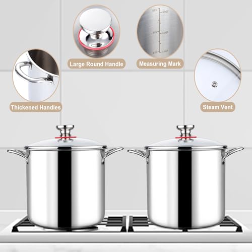 10 Quart Stainless Steel Stock Pot with Lid X4154