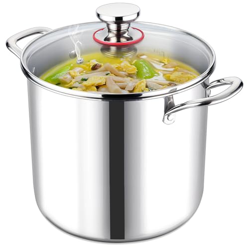 10 Quart Stainless Steel Stock Pot with Lid X4154