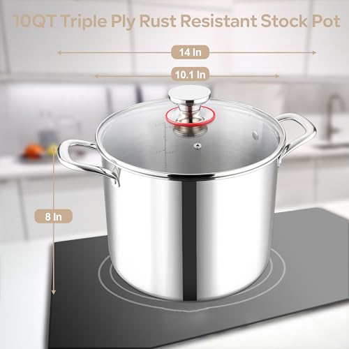 10 Quart Stainless Steel Stock Pot with Lid X4154
