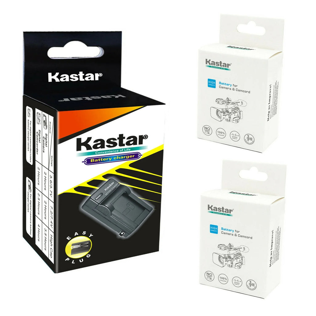 2-Pack Battery and AC Wall Charger R756392