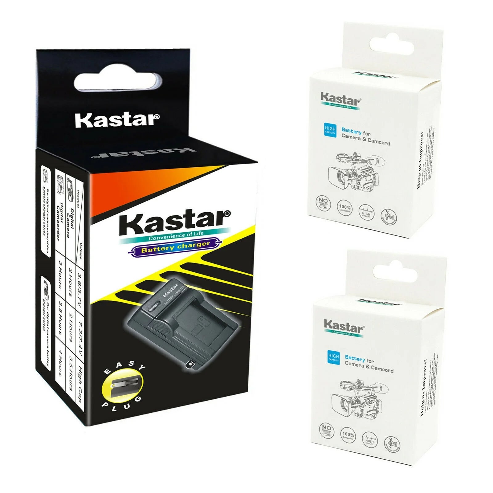 2-Pack Battery and AC Wall Charger R756392