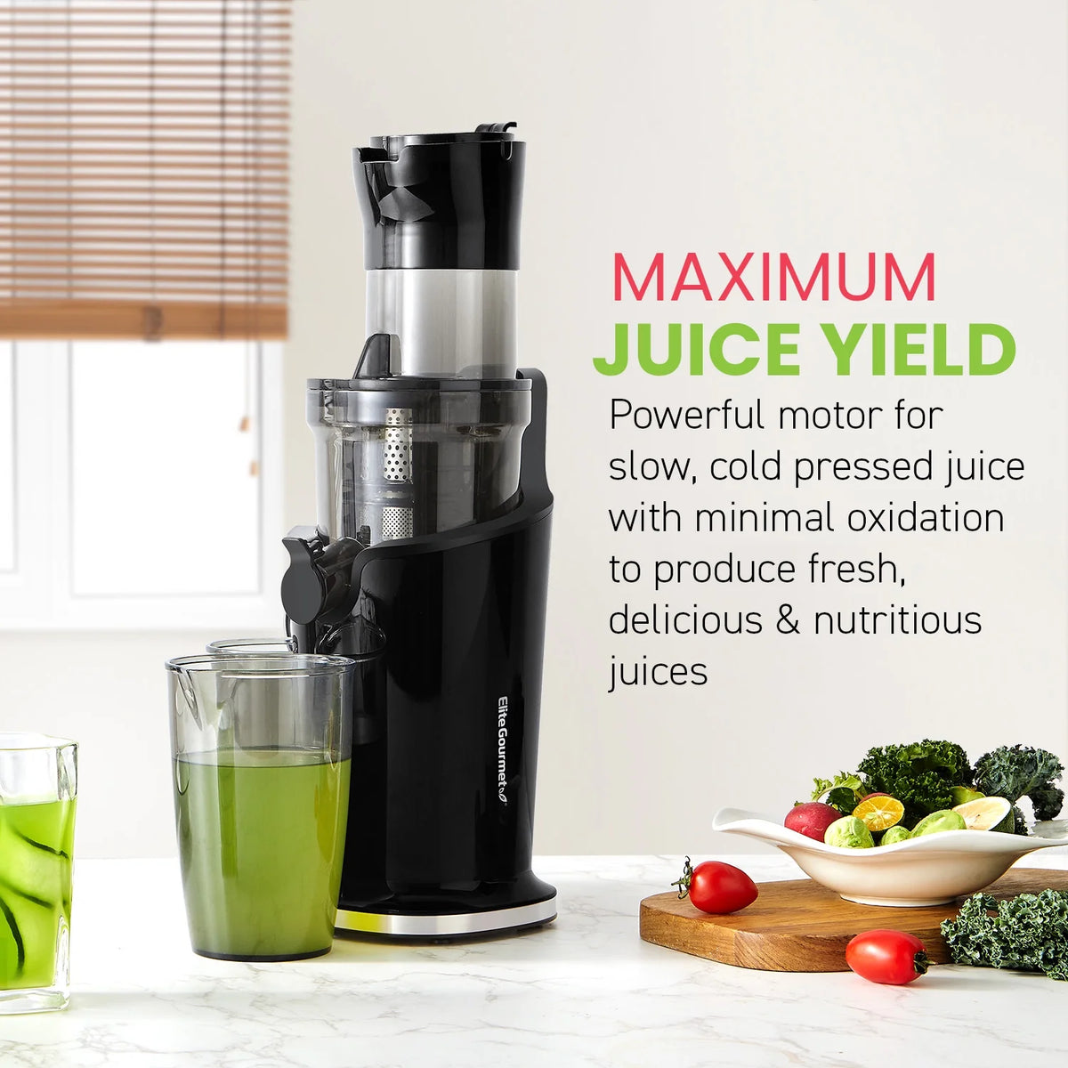 Black Mastication Slow Juicer 27oz E9602