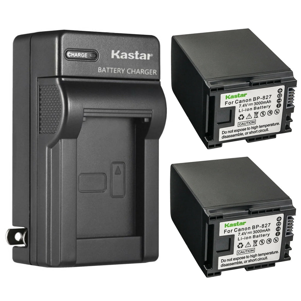 2-Pack Battery and AC Wall Charger R756392