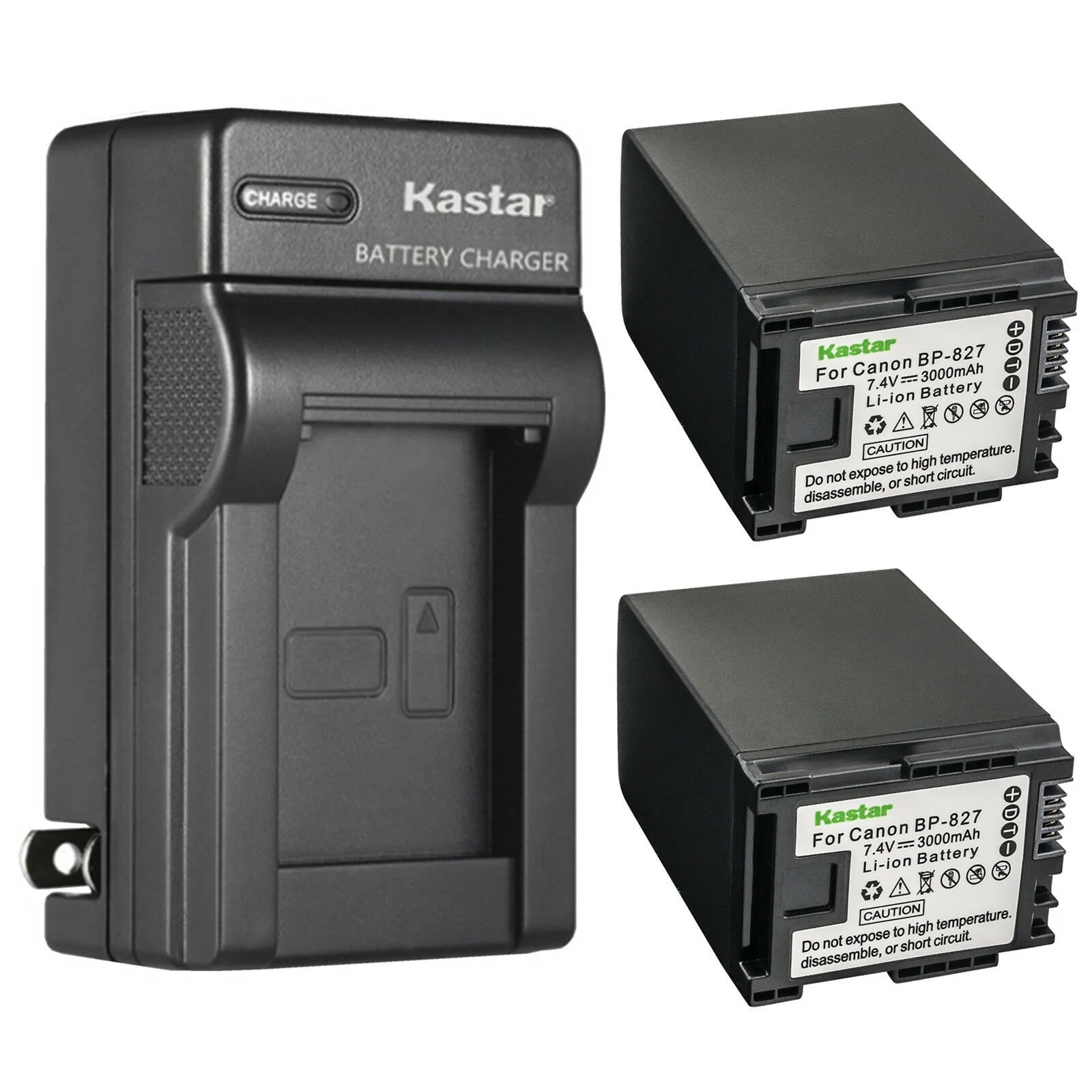 2-Pack Battery and AC Wall Charger R756392