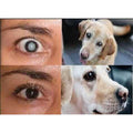 2 x 10ml Eye Drops F7985