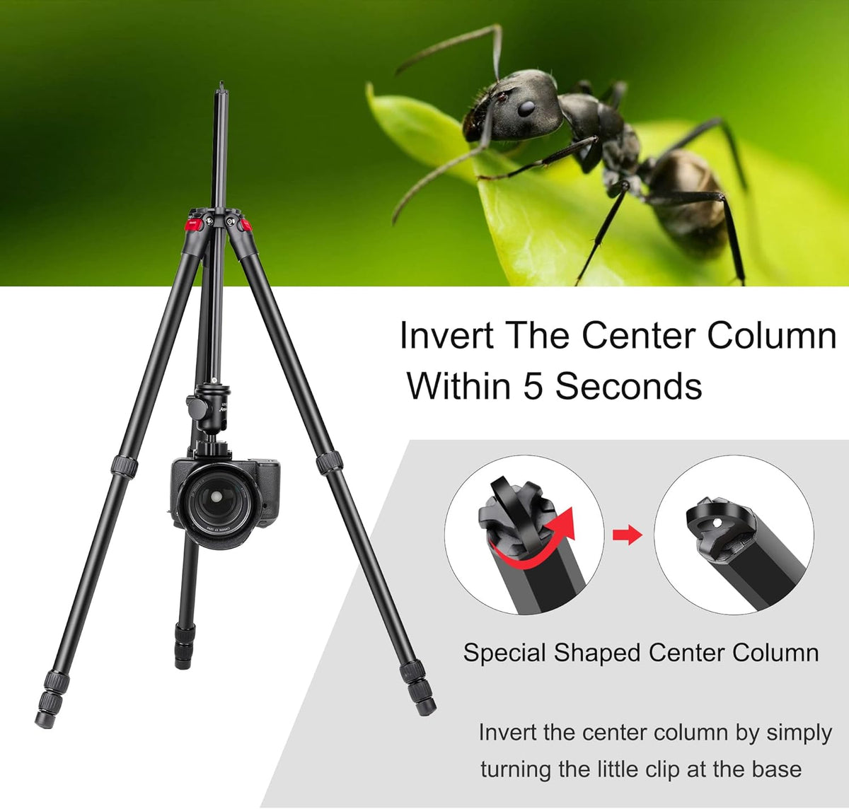 63 Aluminum DSLR Camera Tripod Monopod Kit with Panoramic Ball Head C74785