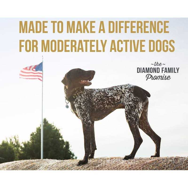 Diamond Dog Food Maintenance B817800