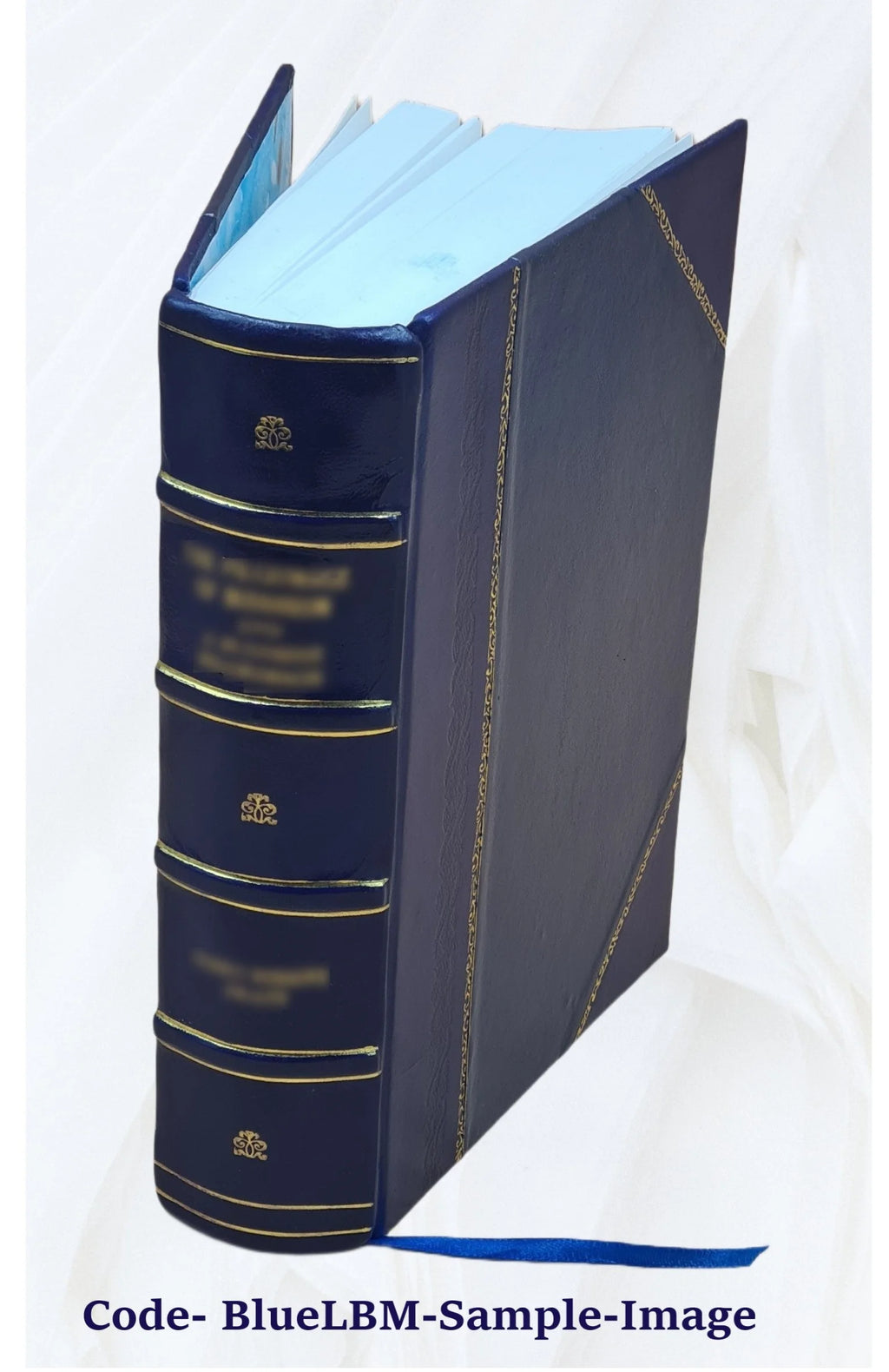 Report on the conditions of the sea fisheries of the south coast of New England Volume 1871-72 1872 X6514