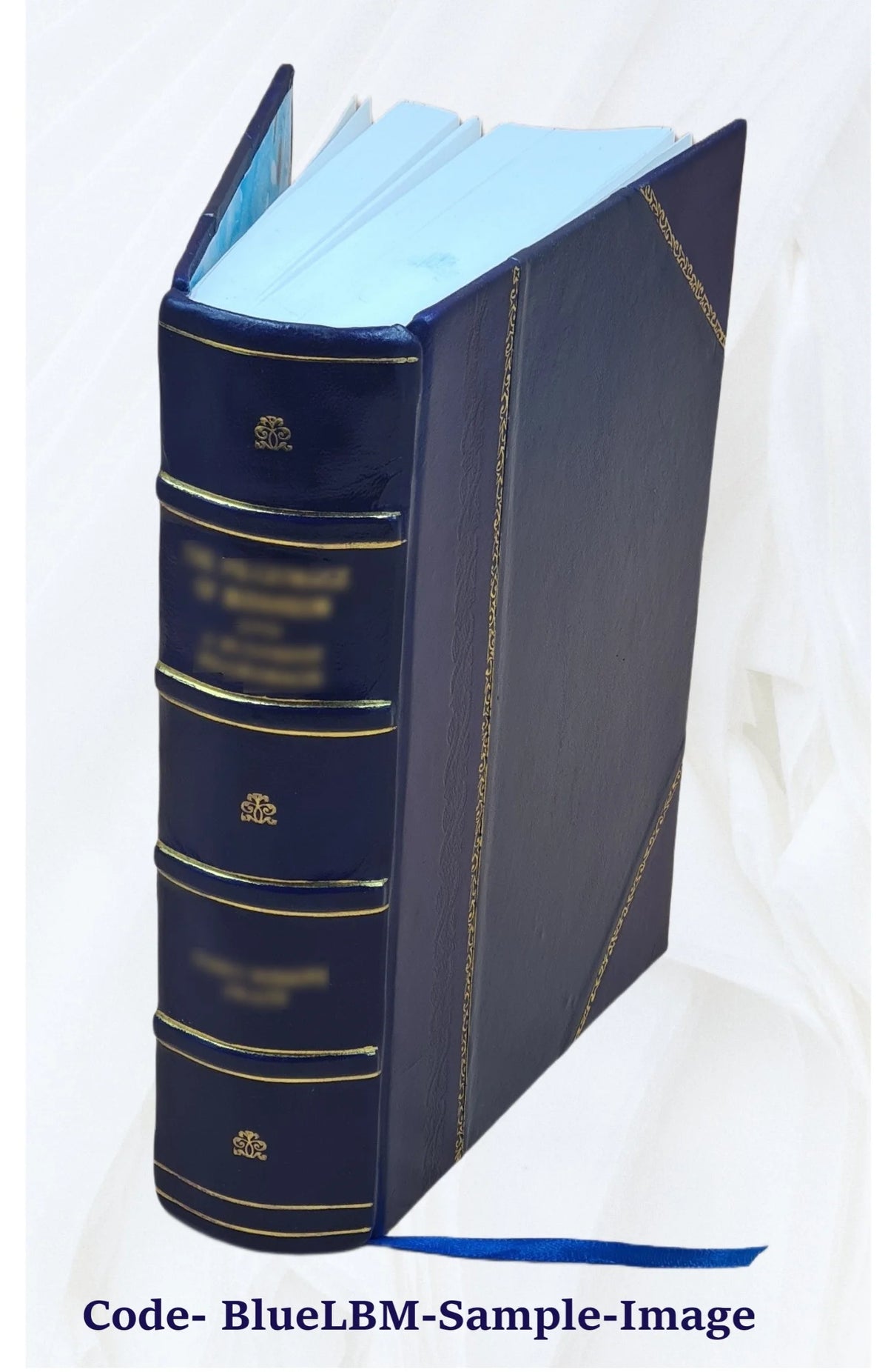 Report on the conditions of the sea fisheries of the south coast of New England Volume 1871-72 1872 X6514