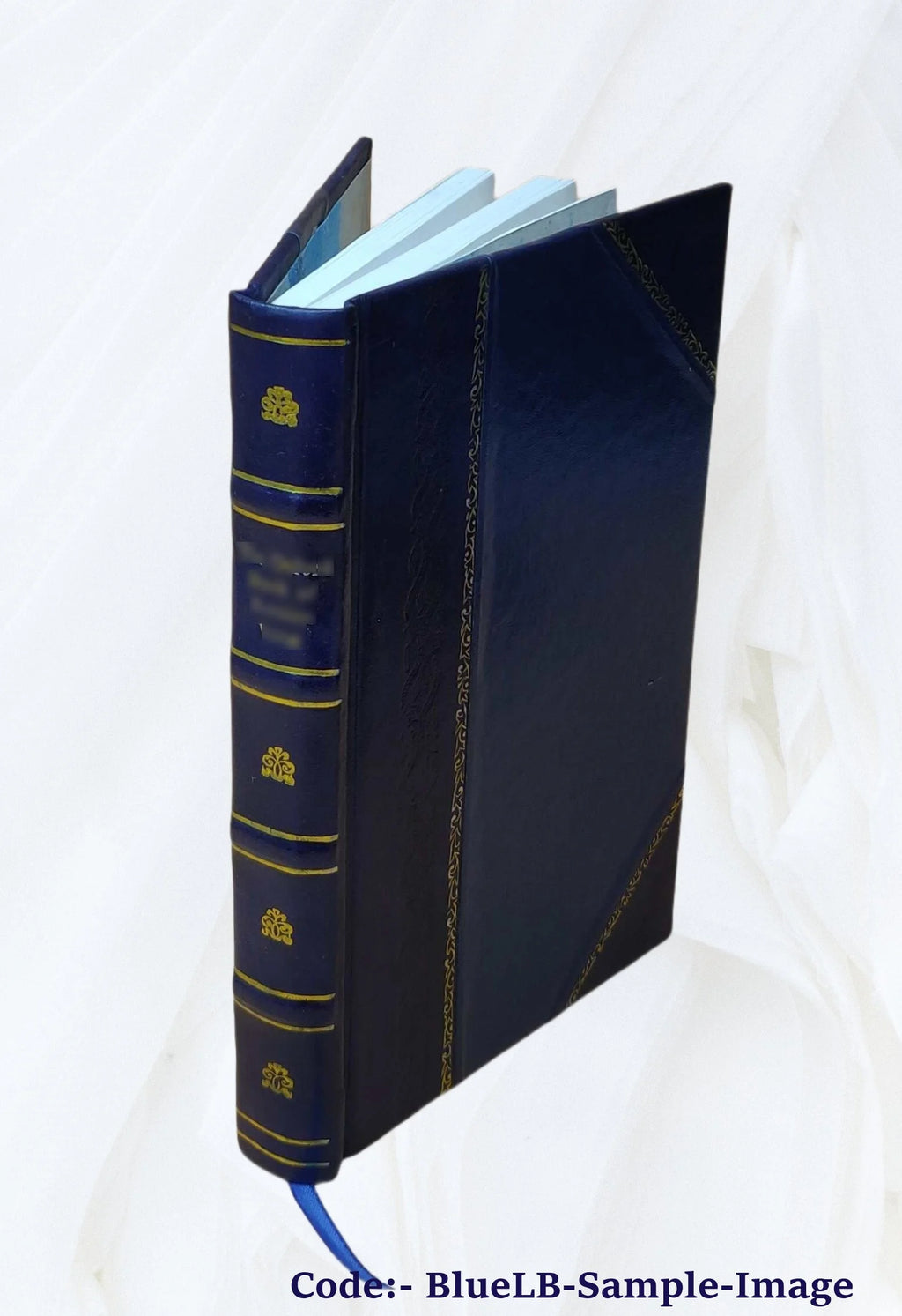 Leather Bound Book X75381