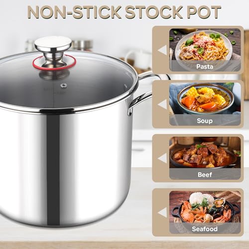 10 Quart Stainless Steel Stock Pot with Lid X4154