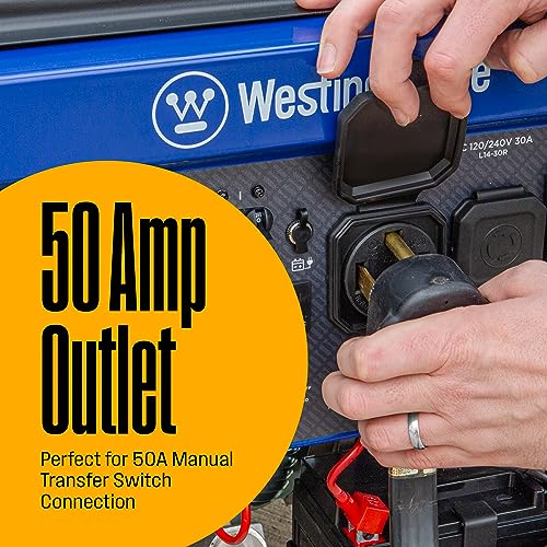 12500 Watt Dual Fuel Portable Generator W9935