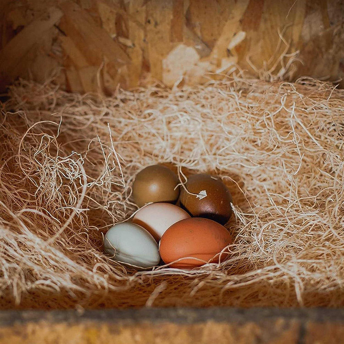 Laying Hen Nesting Pads T864