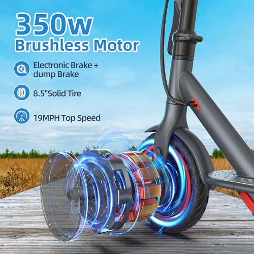 350W Electric Folding Scooter with 8.5" Solid Tires K716647