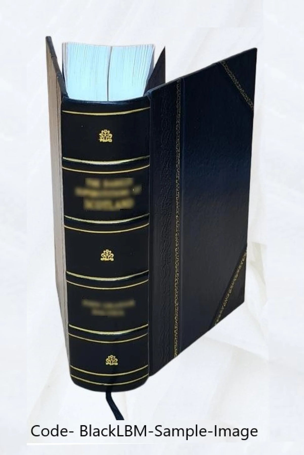 Report on the conditions of the sea fisheries of the south coast of New England Volume 1871-72 1872 X6514
