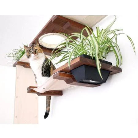 Cat Mod Garden Complex H119