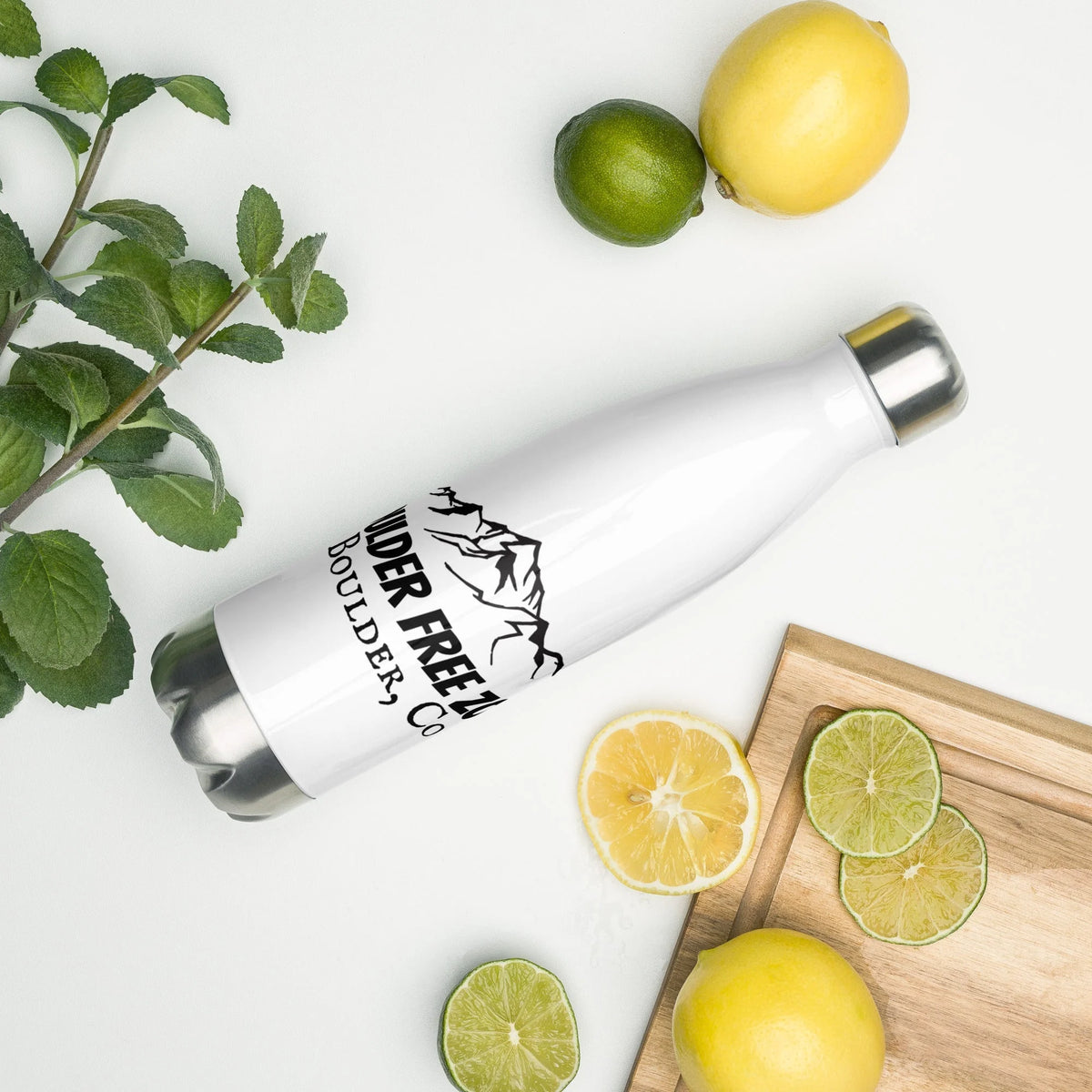 Stainless Steel Water Bottle Z57192