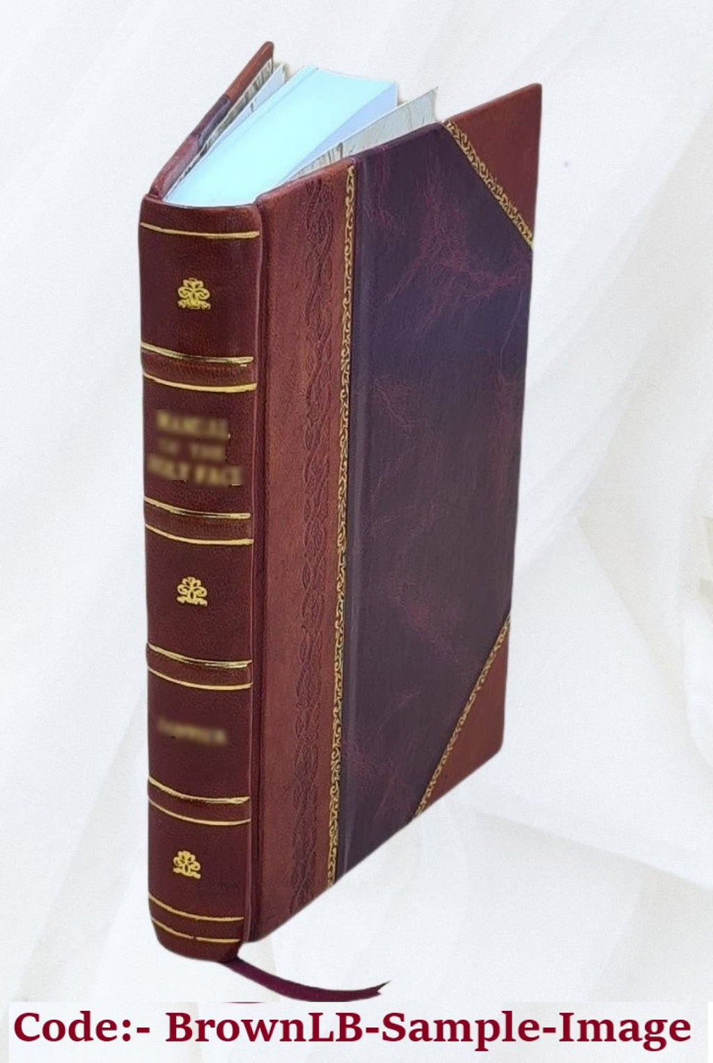 Leather Bound Book X75381