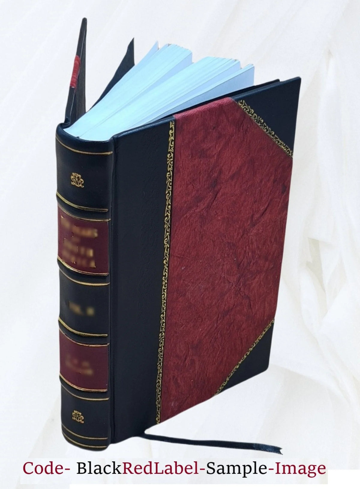 Leather Bound Book X75381